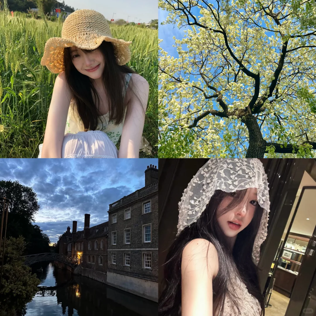 WeChat｜女头背景