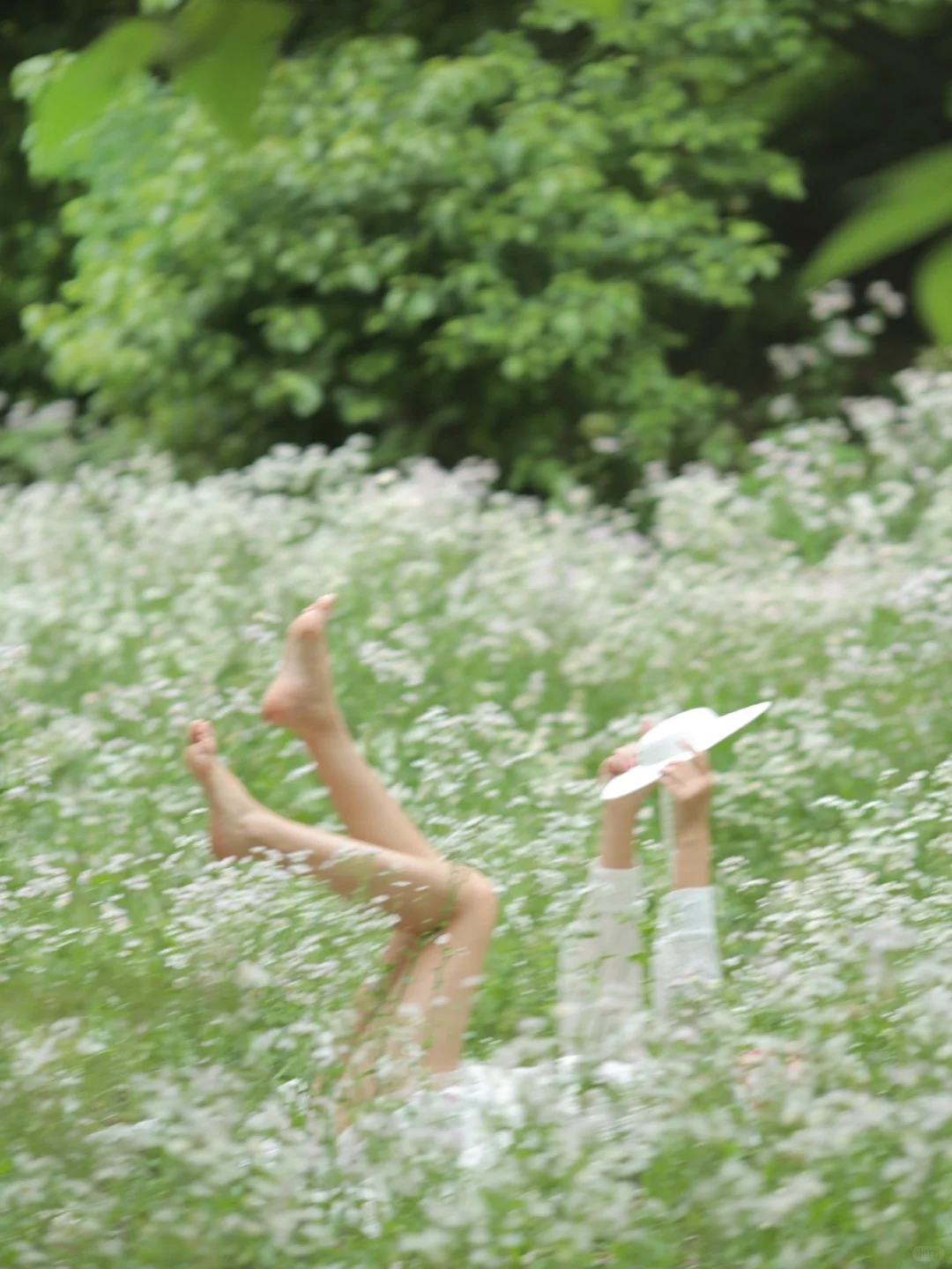 陷入春天🍃