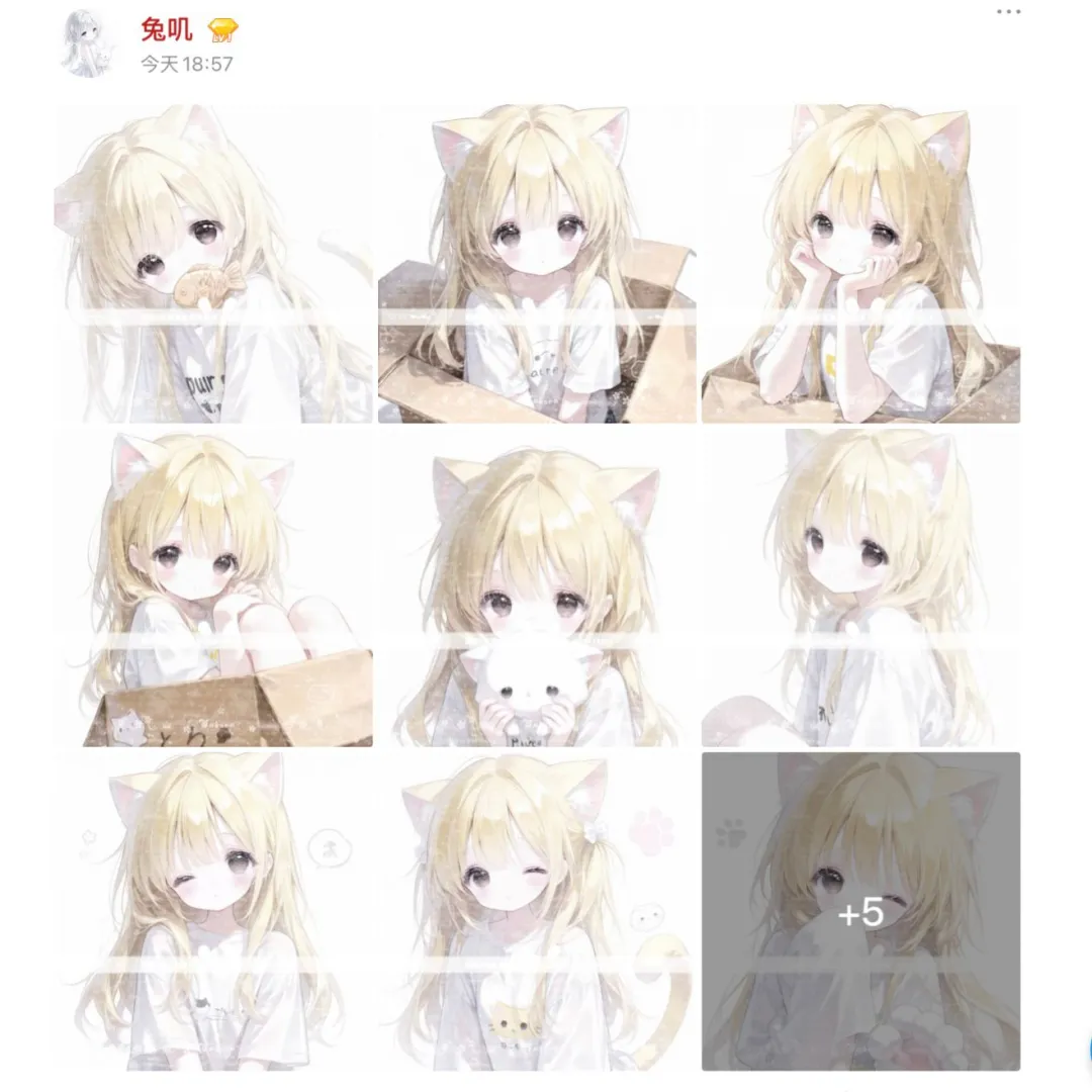分享一张小猫₍˄·͈༝༝·͈˄*₎◞ ̑̑
