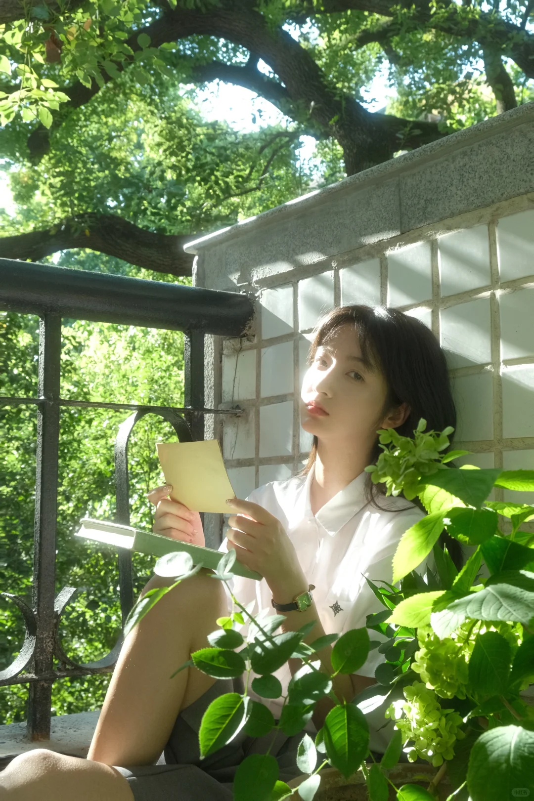 夏日校园光影氛围感｜富士原图直出参数