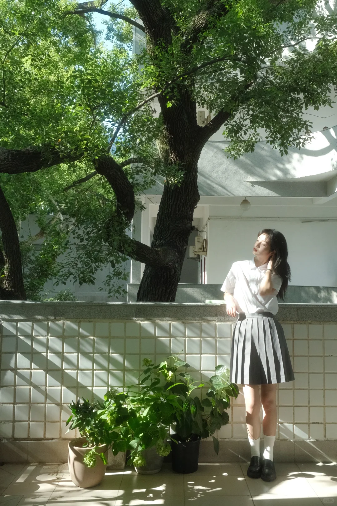 夏日校园光影氛围感｜富士原图直出参数