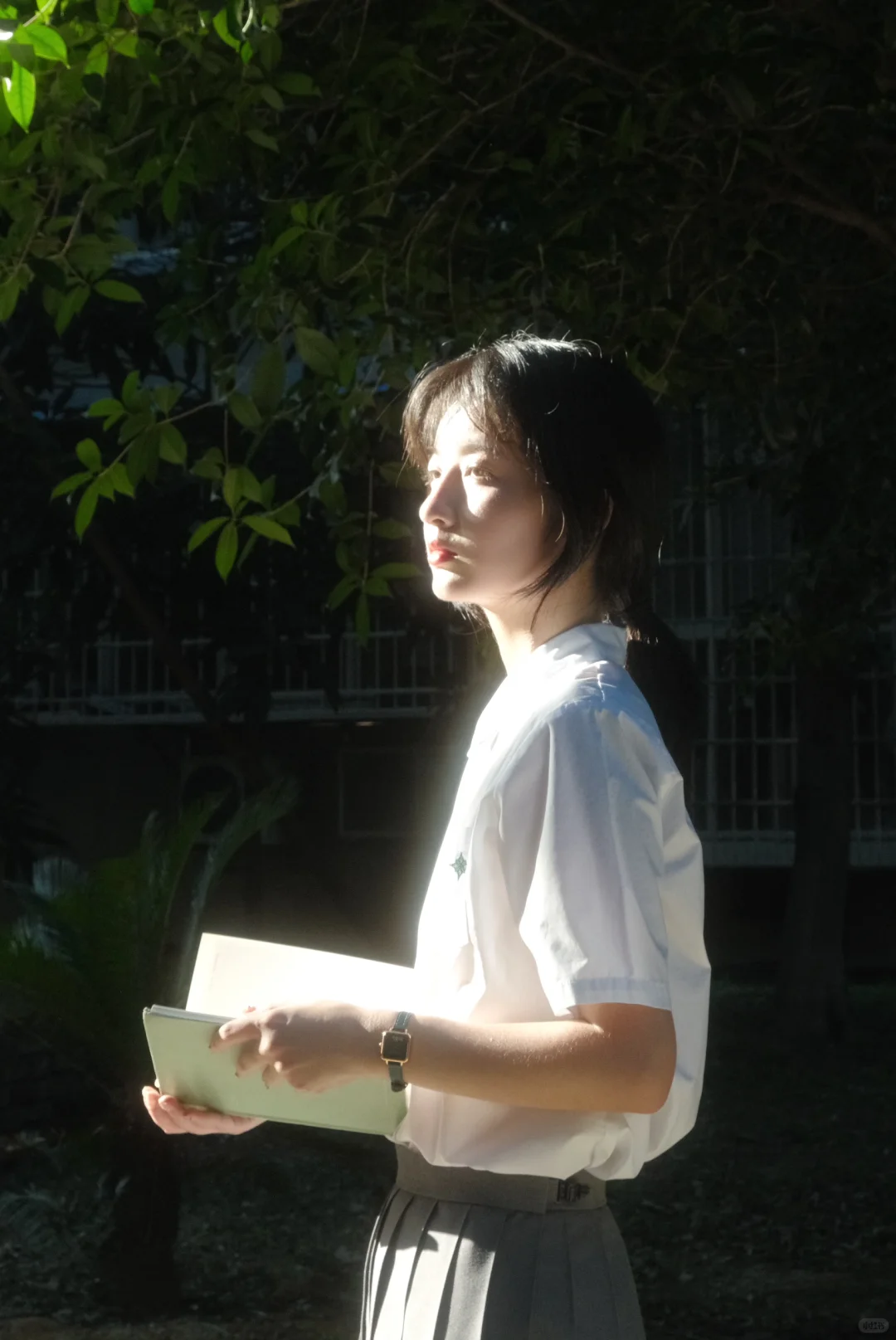 夏日校园光影氛围感｜富士原图直出参数