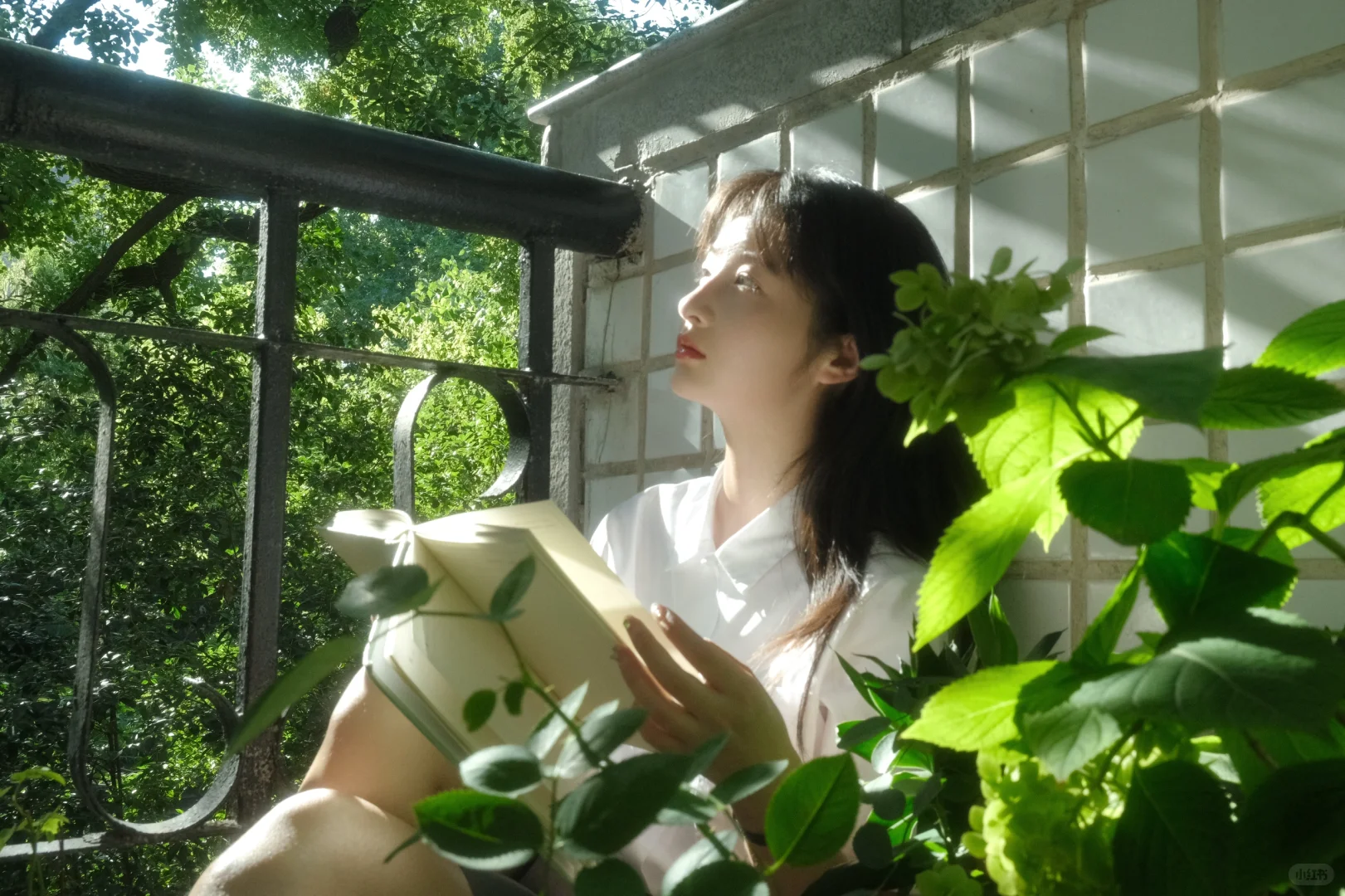 夏日校园光影氛围感｜富士原图直出参数