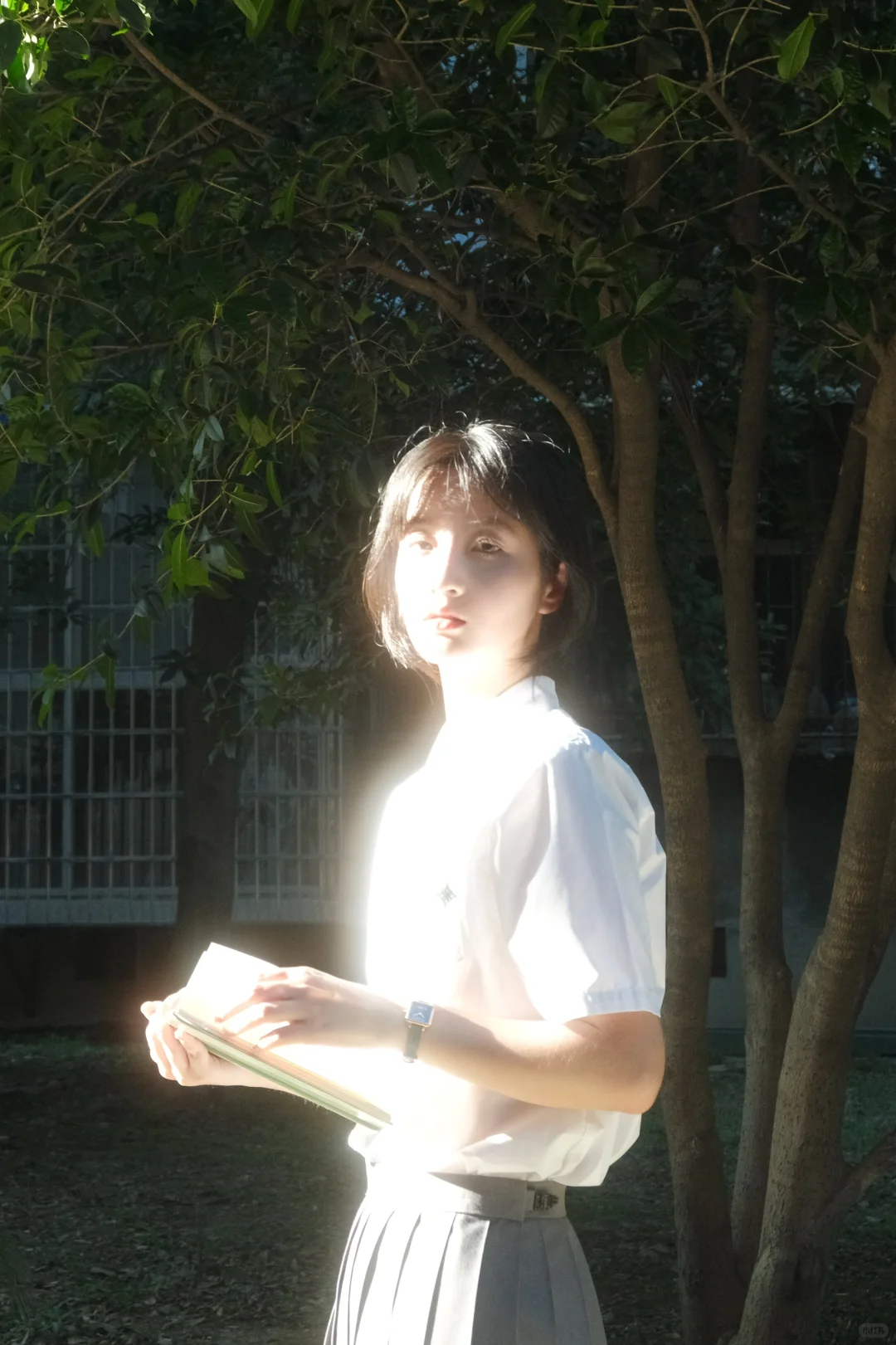 夏日校园光影氛围感｜富士原图直出参数