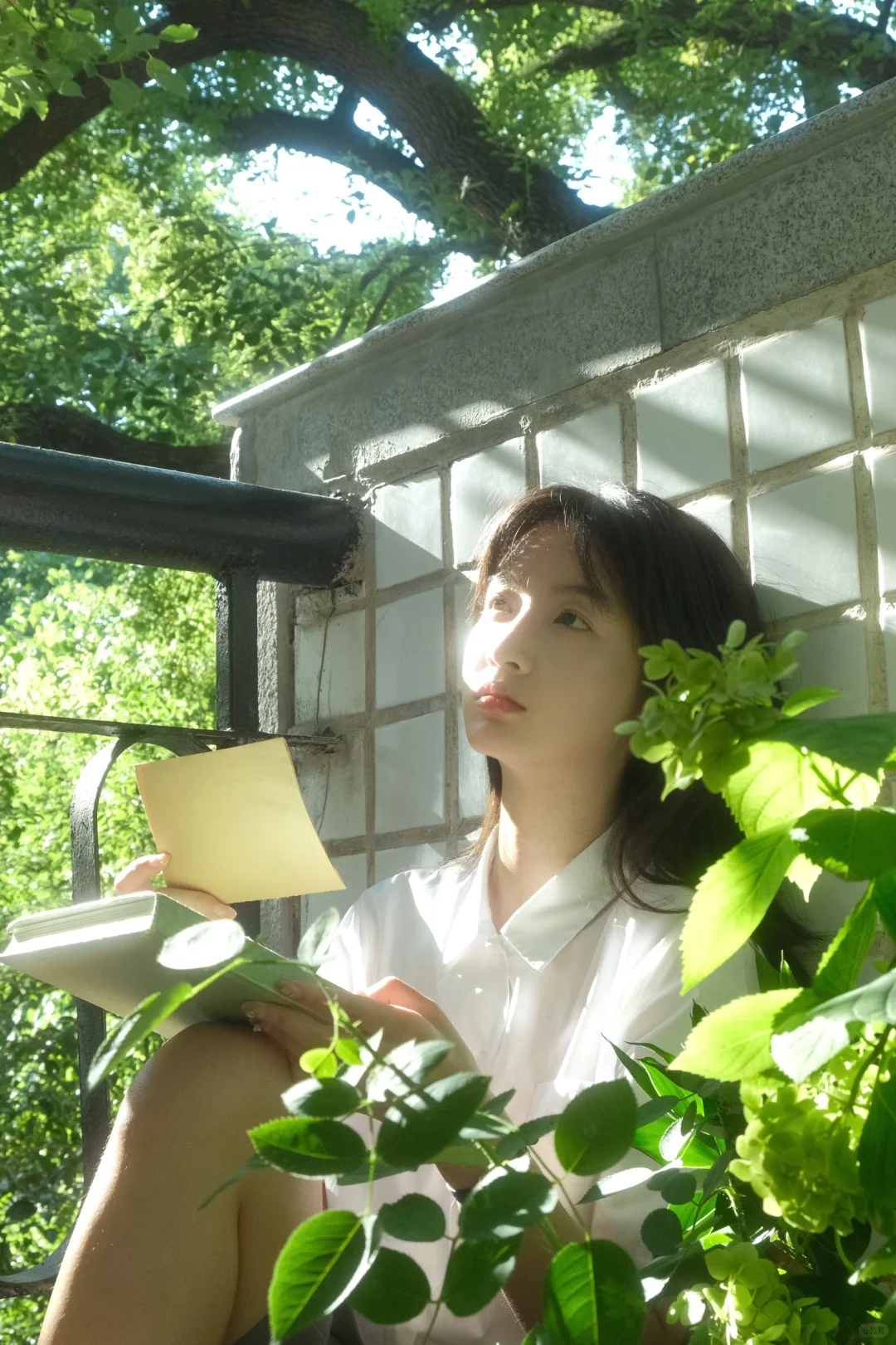 夏日校园光影氛围感｜富士原图直出参数
