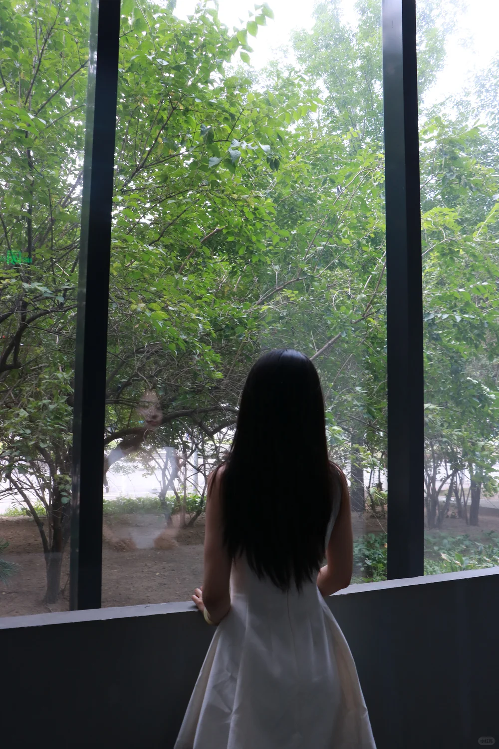 毕业女大驯服高跟鞋实录