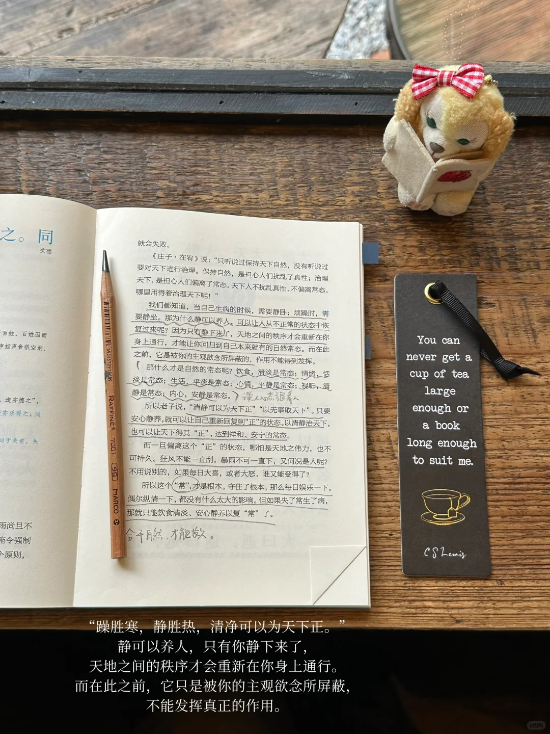 𝐢𝐧𝐟𝐩‘s📖：心不净的时候就去抄《道德经》