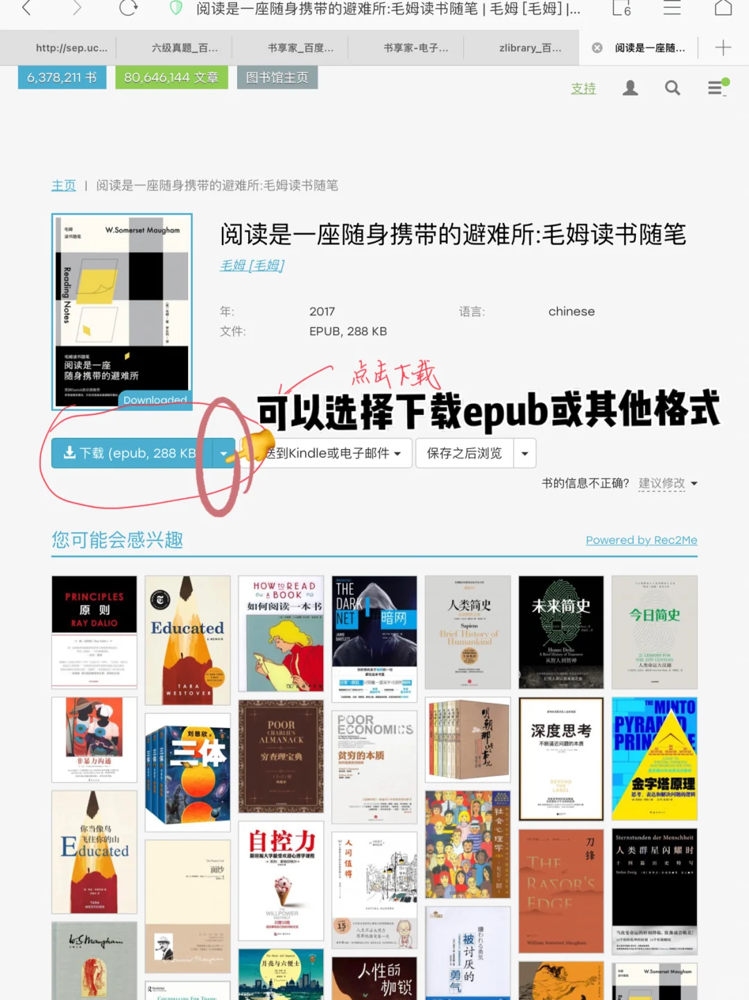 看电子书，一个网站就够了（作者使用设备iPad