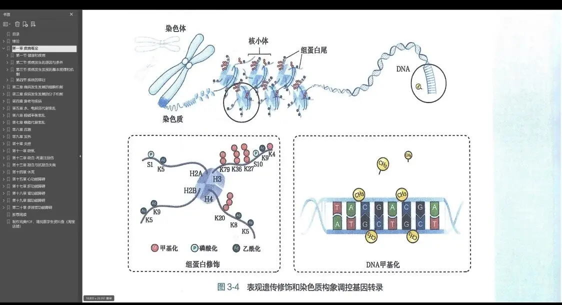 人卫版八年制5+3临床医学教材第4版pdf