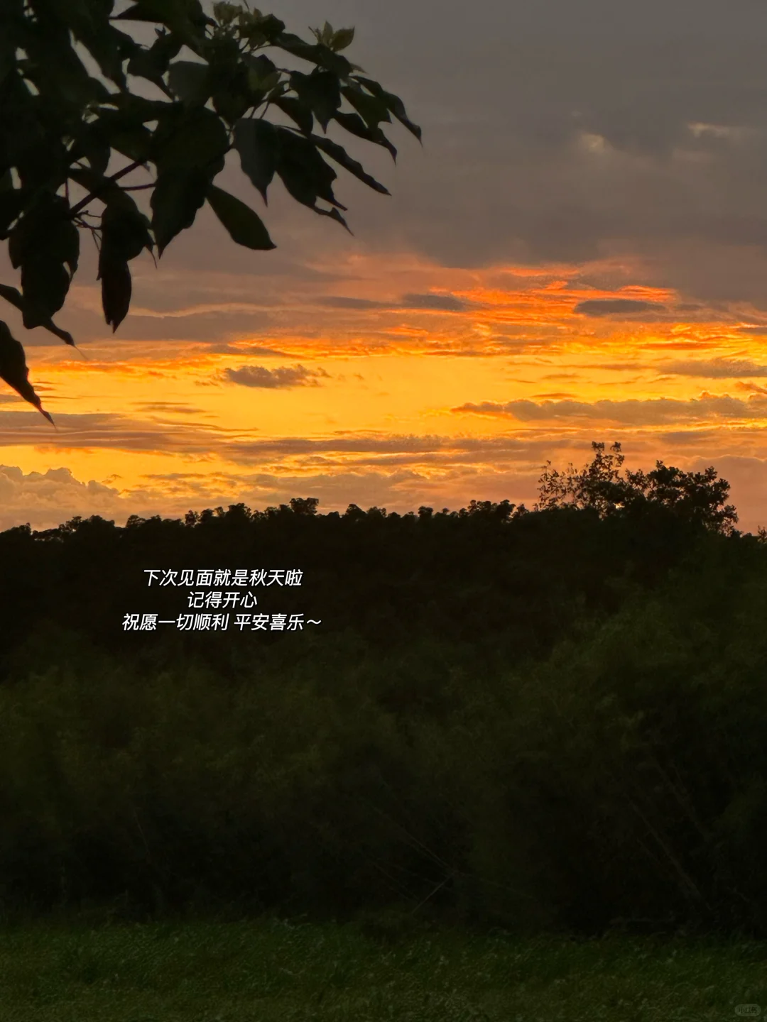 七月书单｜读完8本书