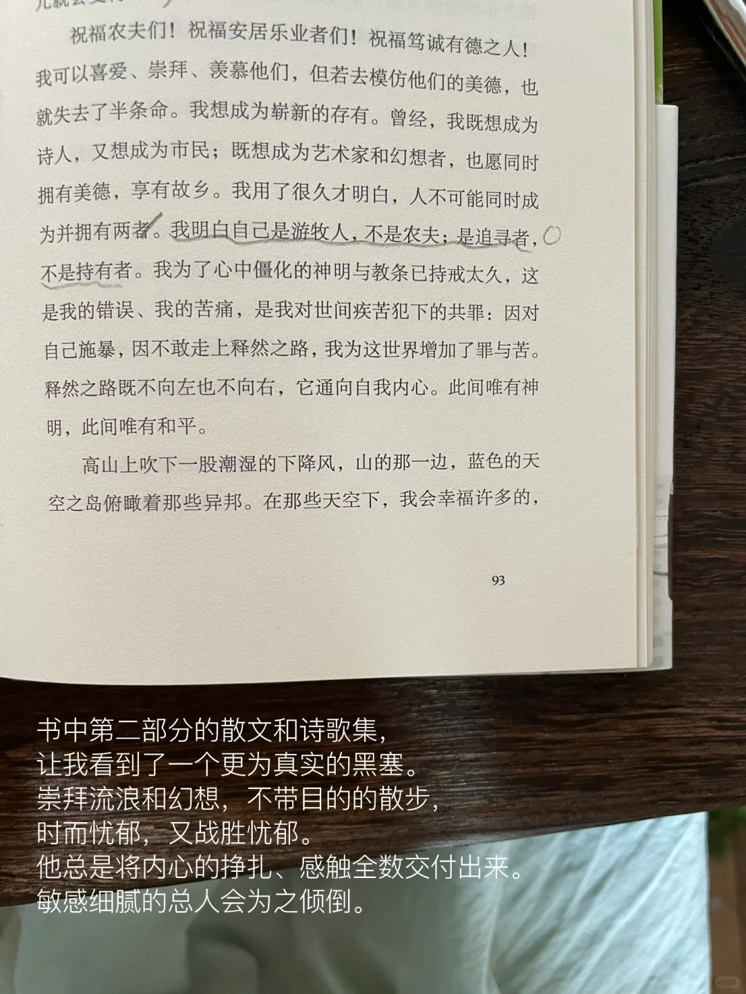 九月初秋读黑塞、愿活在每一个具体的感受里