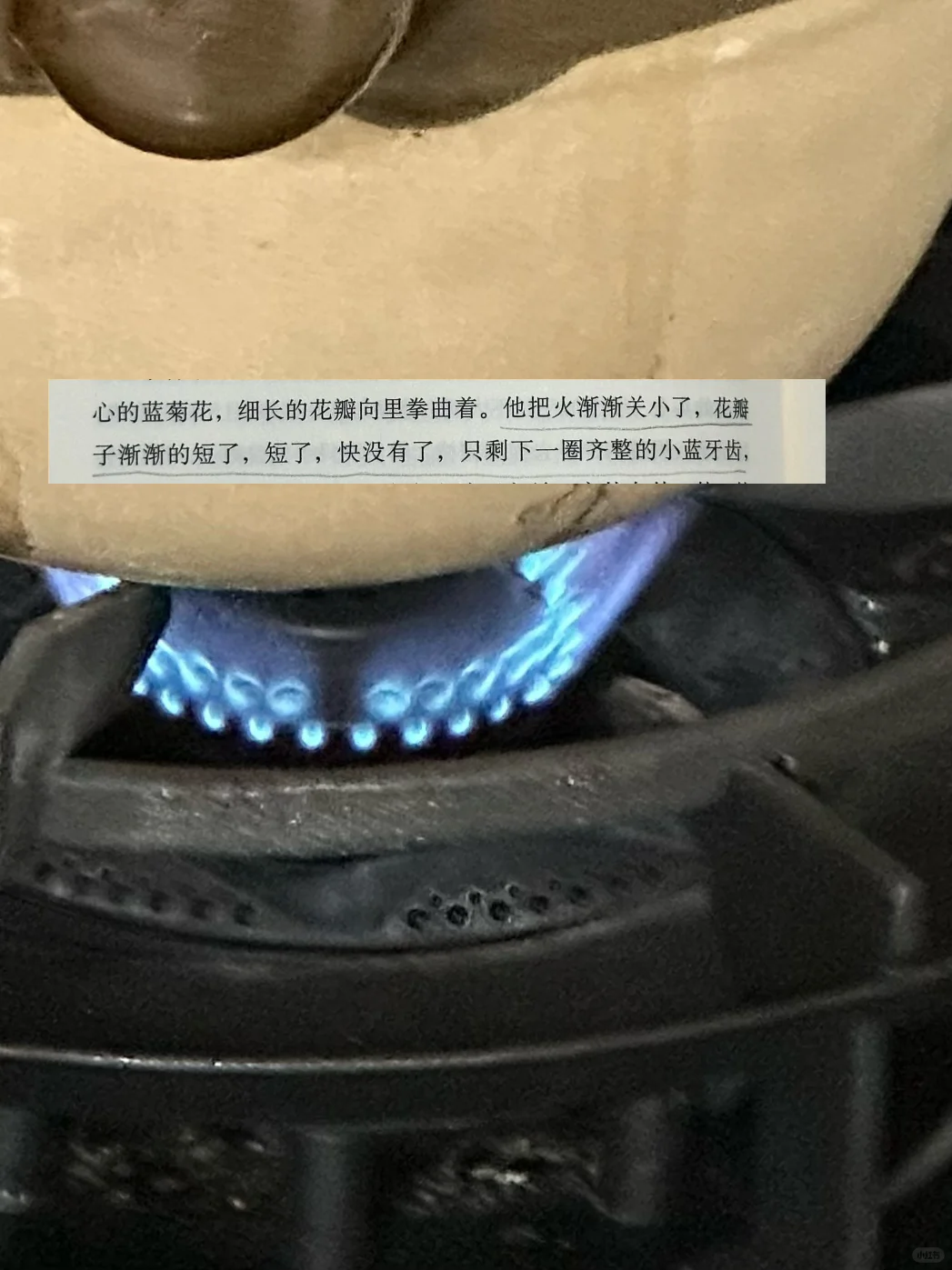 七月书单｜读完8本书