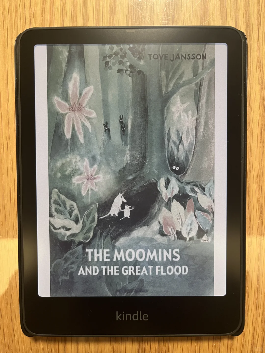 kindle colorsoft入手后的体验
