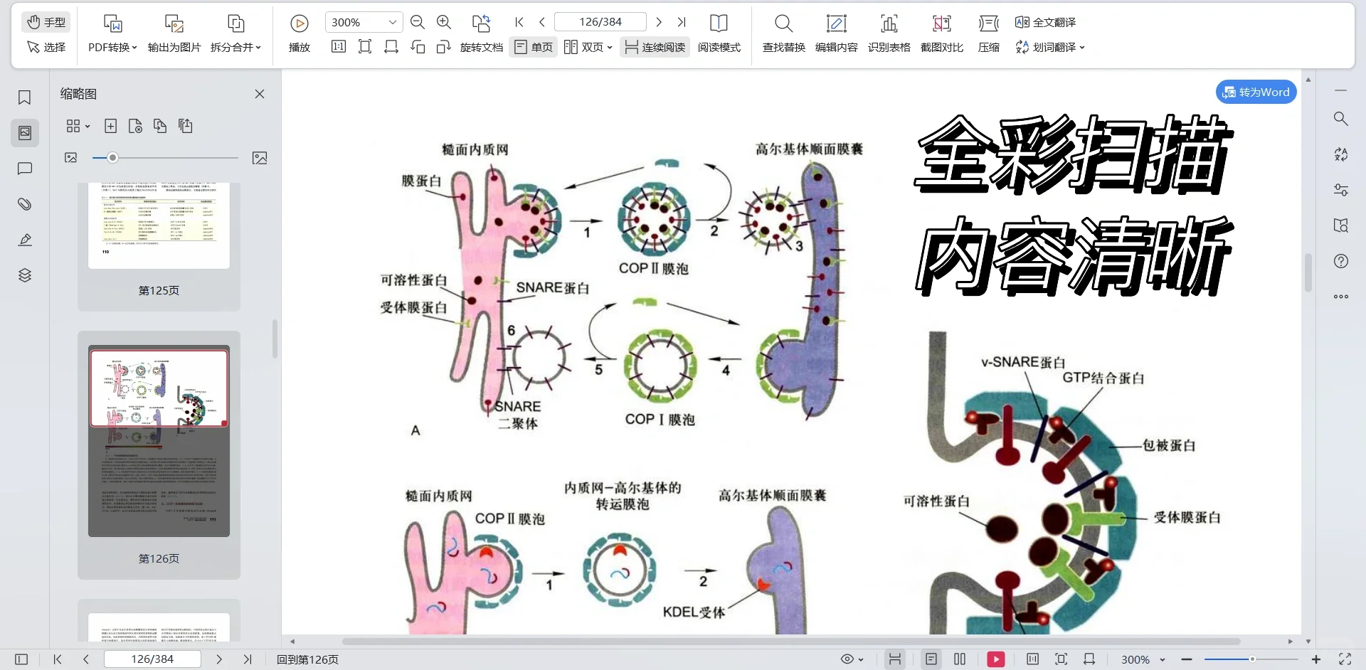 【中文扫描PDF】细胞生物学 第5版