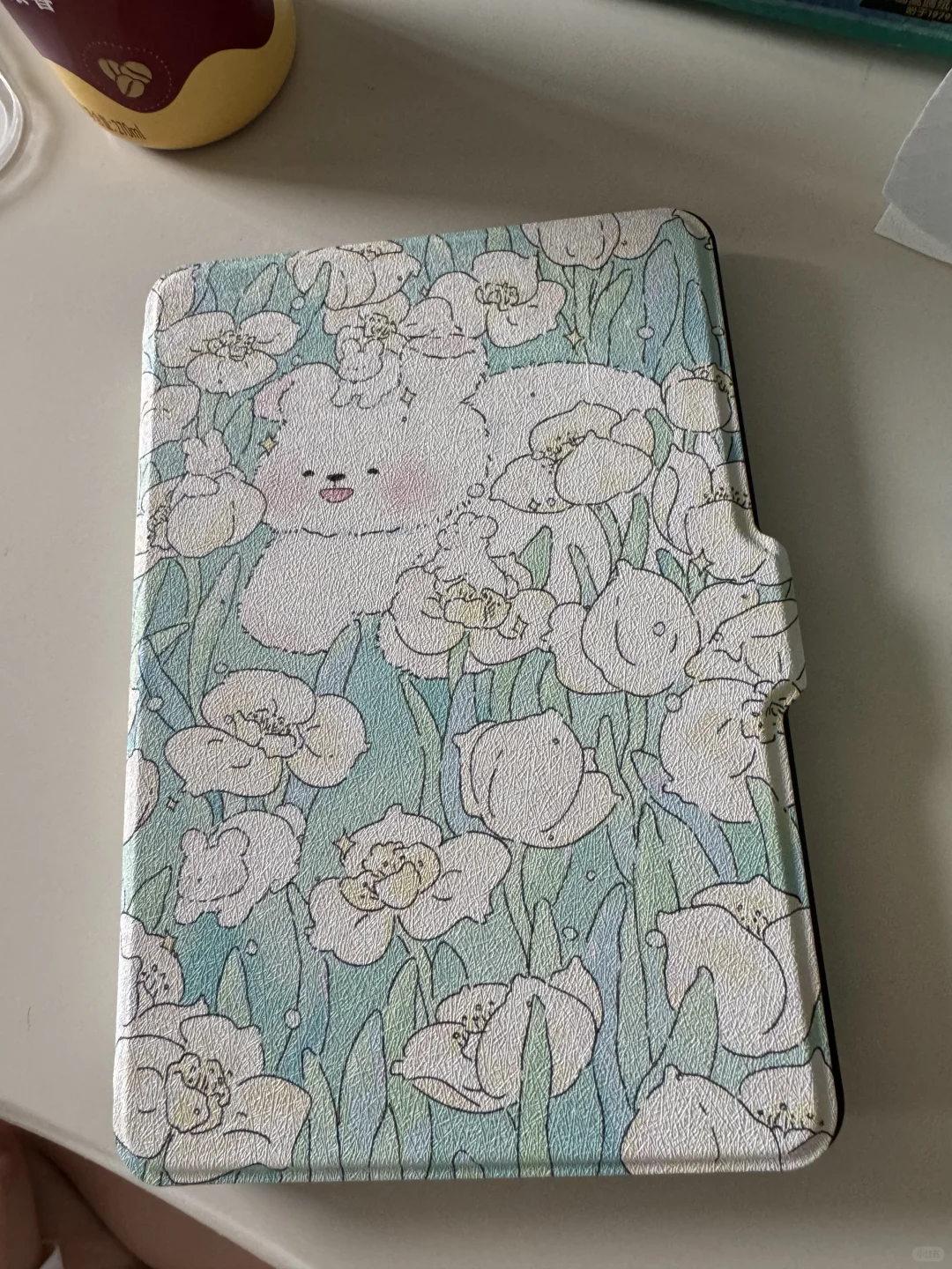 闲🐟收的kindle到了