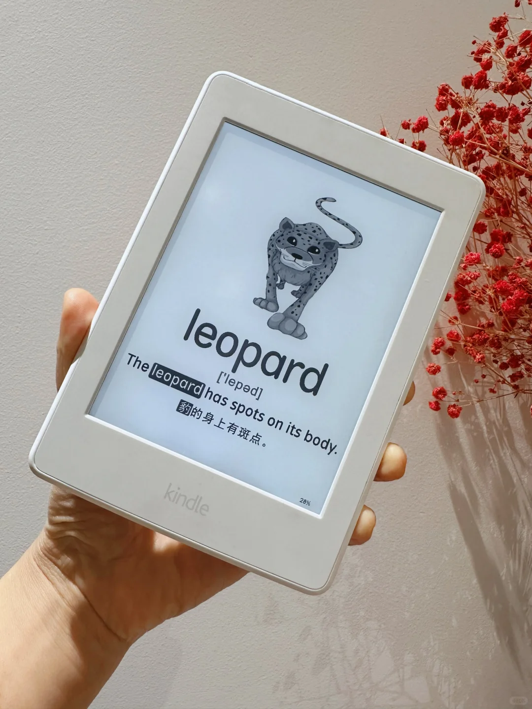 复活闲置Kindle，秒变早教神器 ‼️