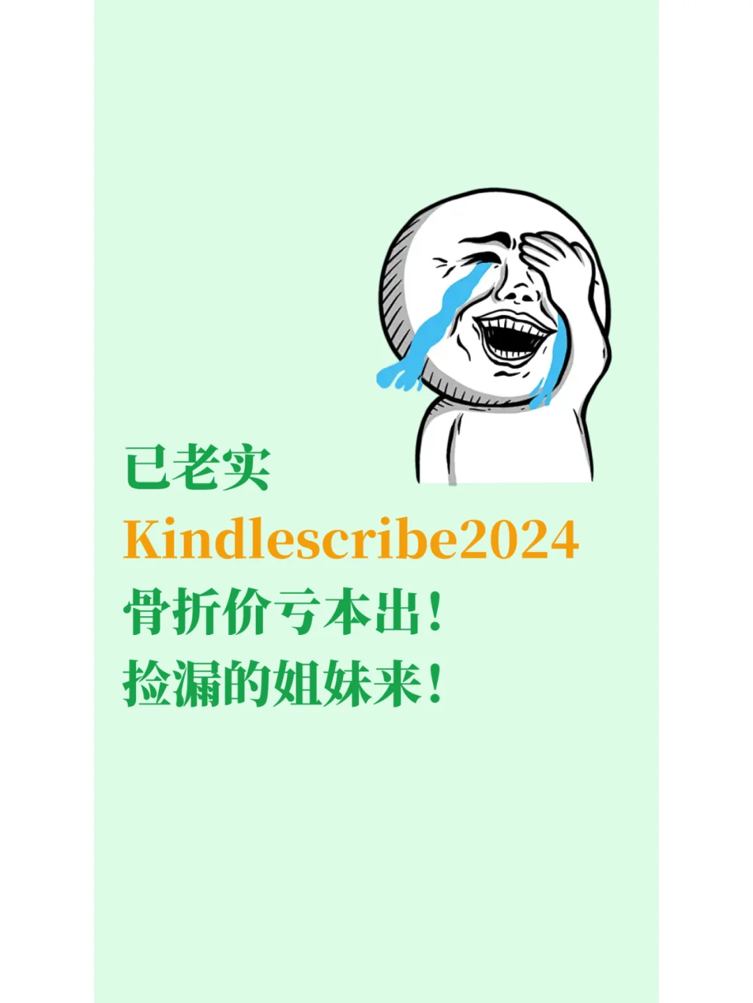大冤种就是我kindlescribe2024骨折价出