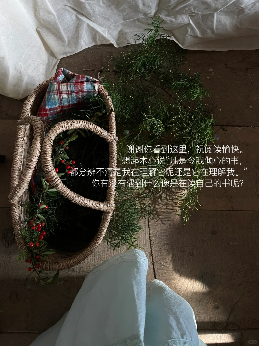 九月初秋读黑塞、愿活在每一个具体的感受里