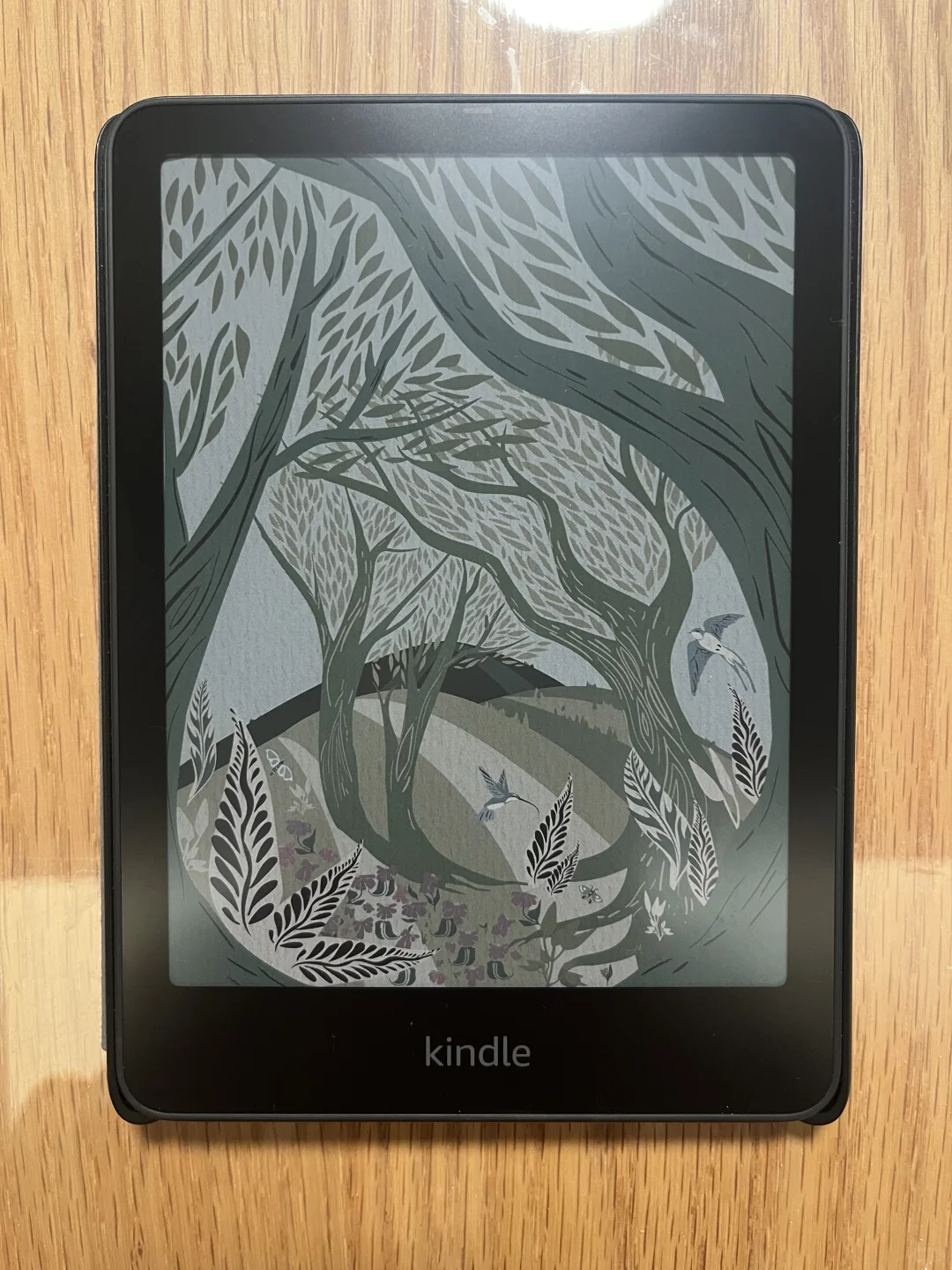 kindle colorsoft入手后的体验