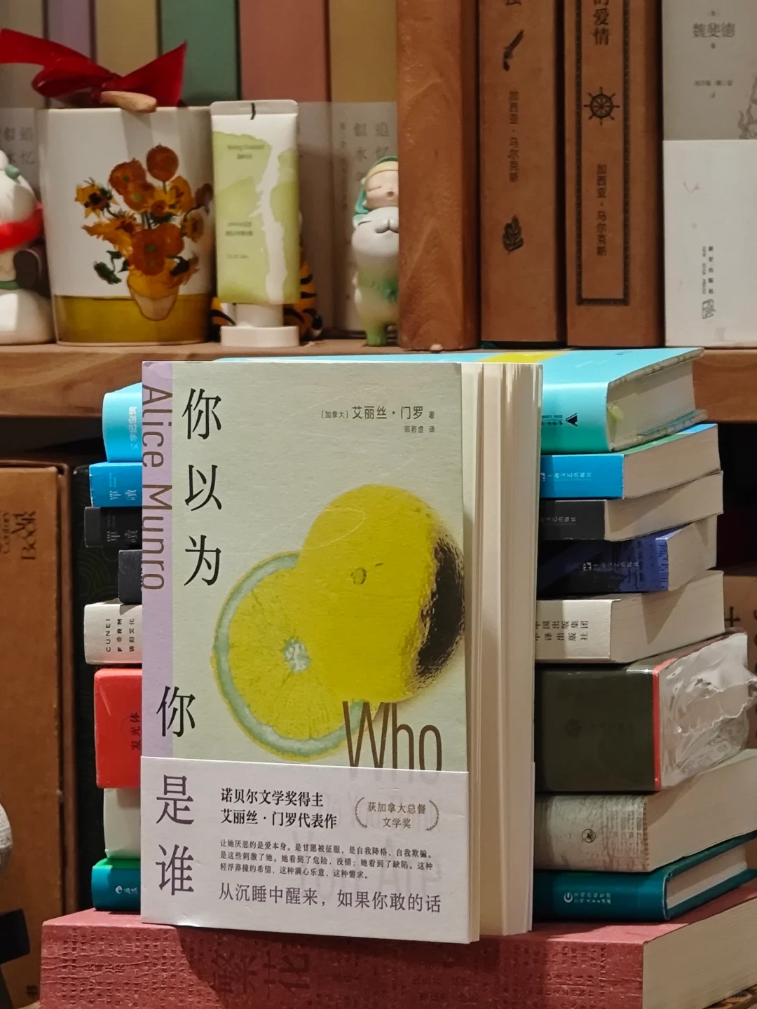 读书博主两年，我最想分享的十本小说