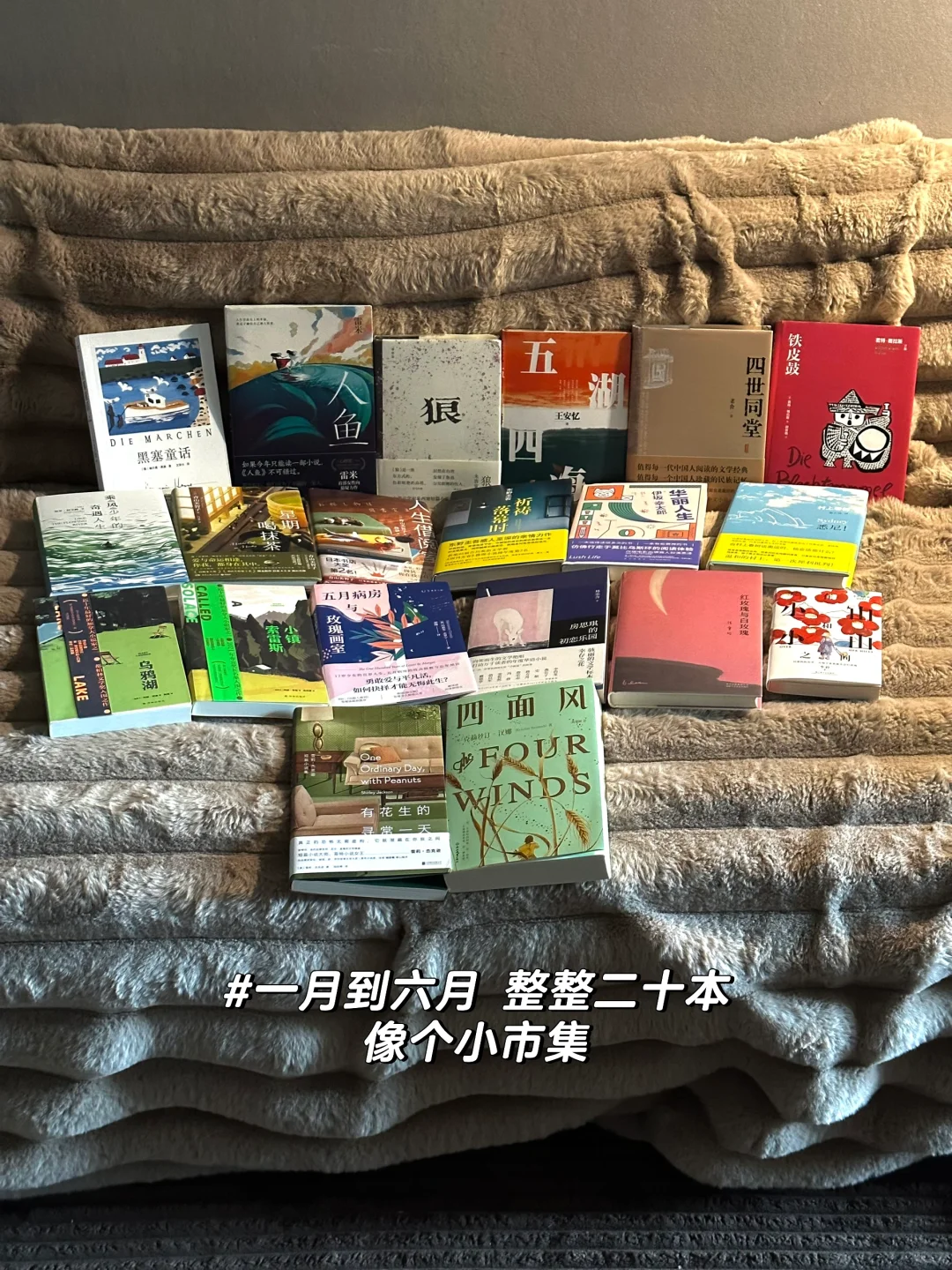 上半年读完了这20本书