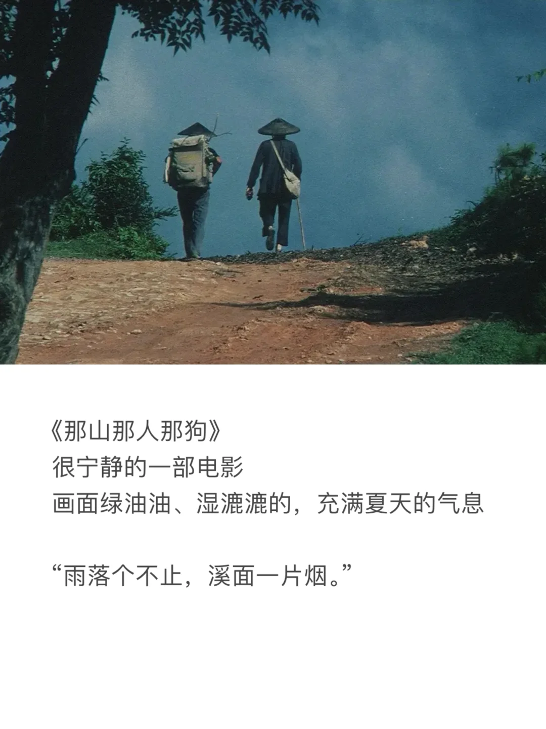 七月书单｜读完8本书