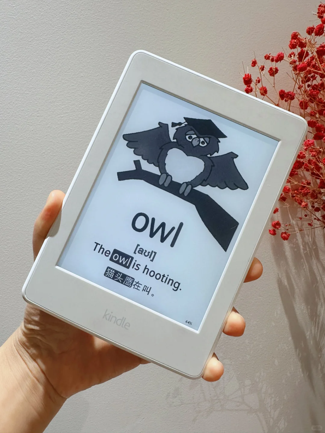 复活闲置Kindle，秒变早教神器 ‼️