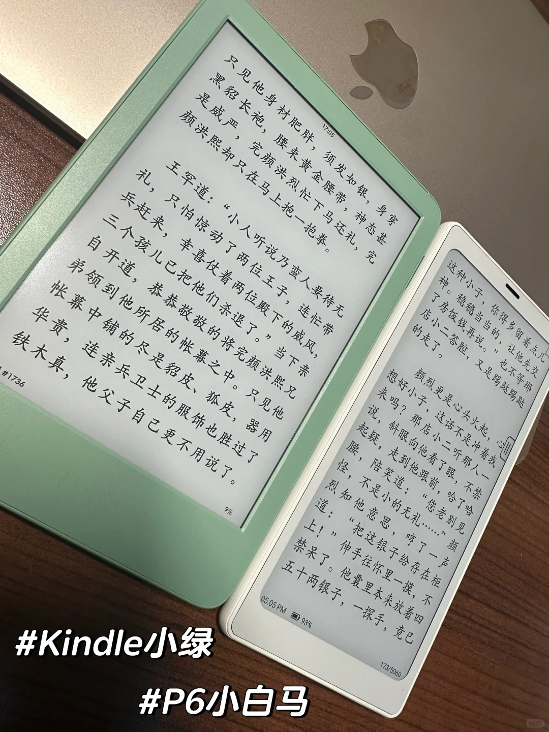 Kindle小绿vs文石P6小白马