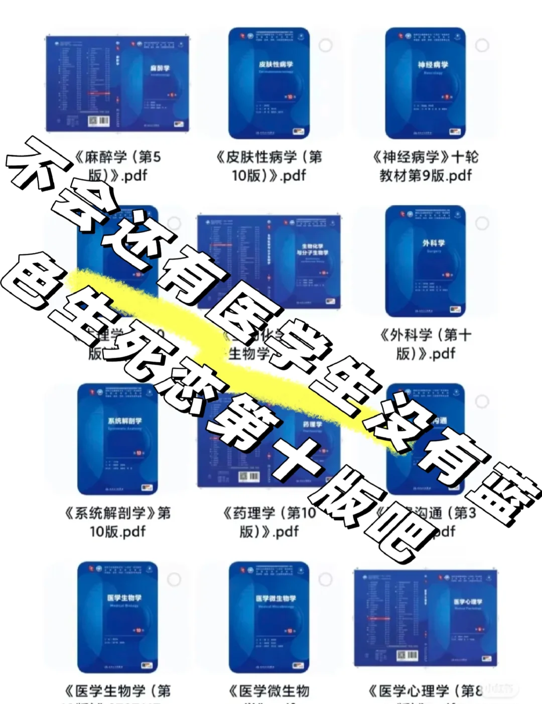 人卫第十版临床医学教材电子版