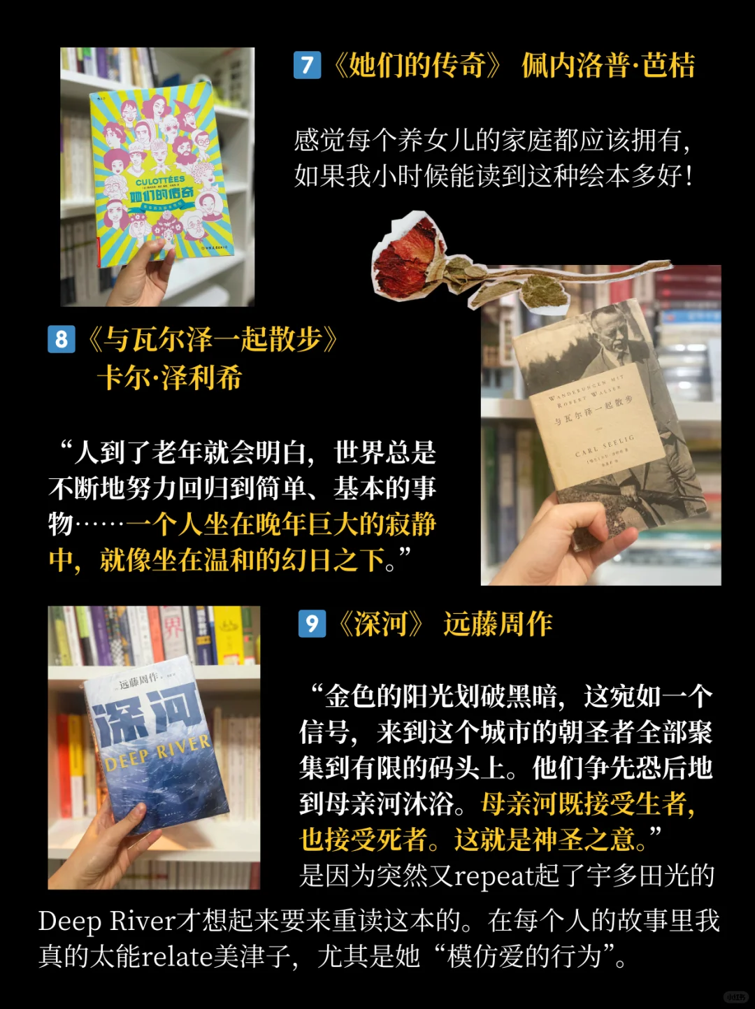 年度书单｜一个普通人搭建精神世界的第3年