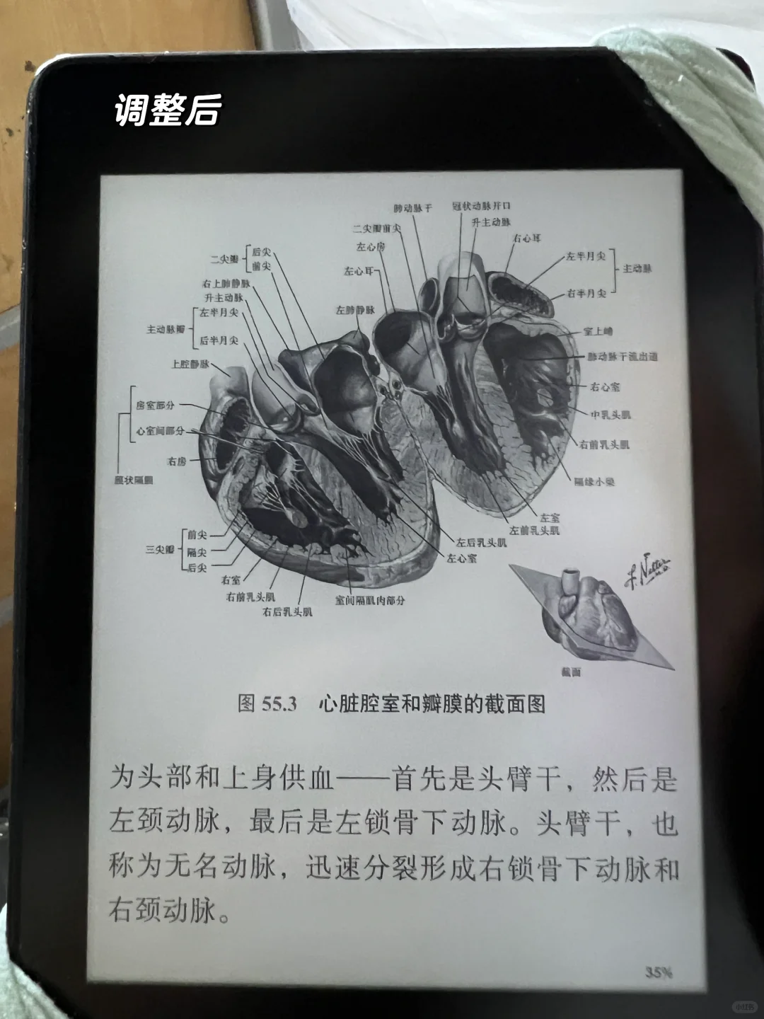 研究一晚 发现kindle新用途