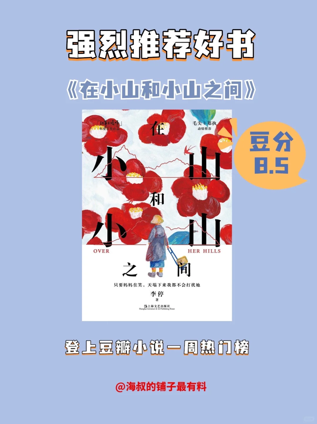 好书推荐《在小山和小山之间》