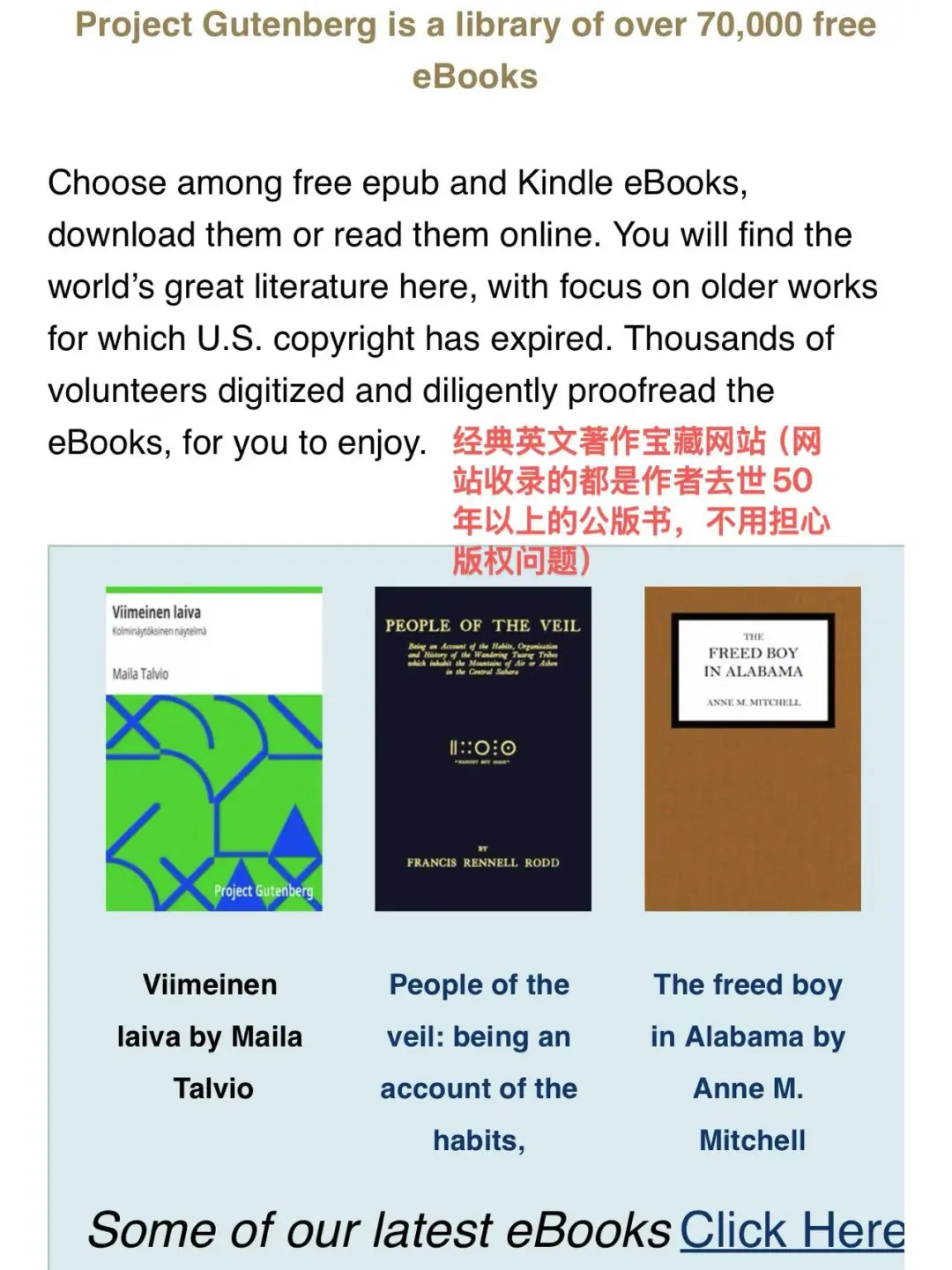 Z-library的平替网站终于被我找到了！