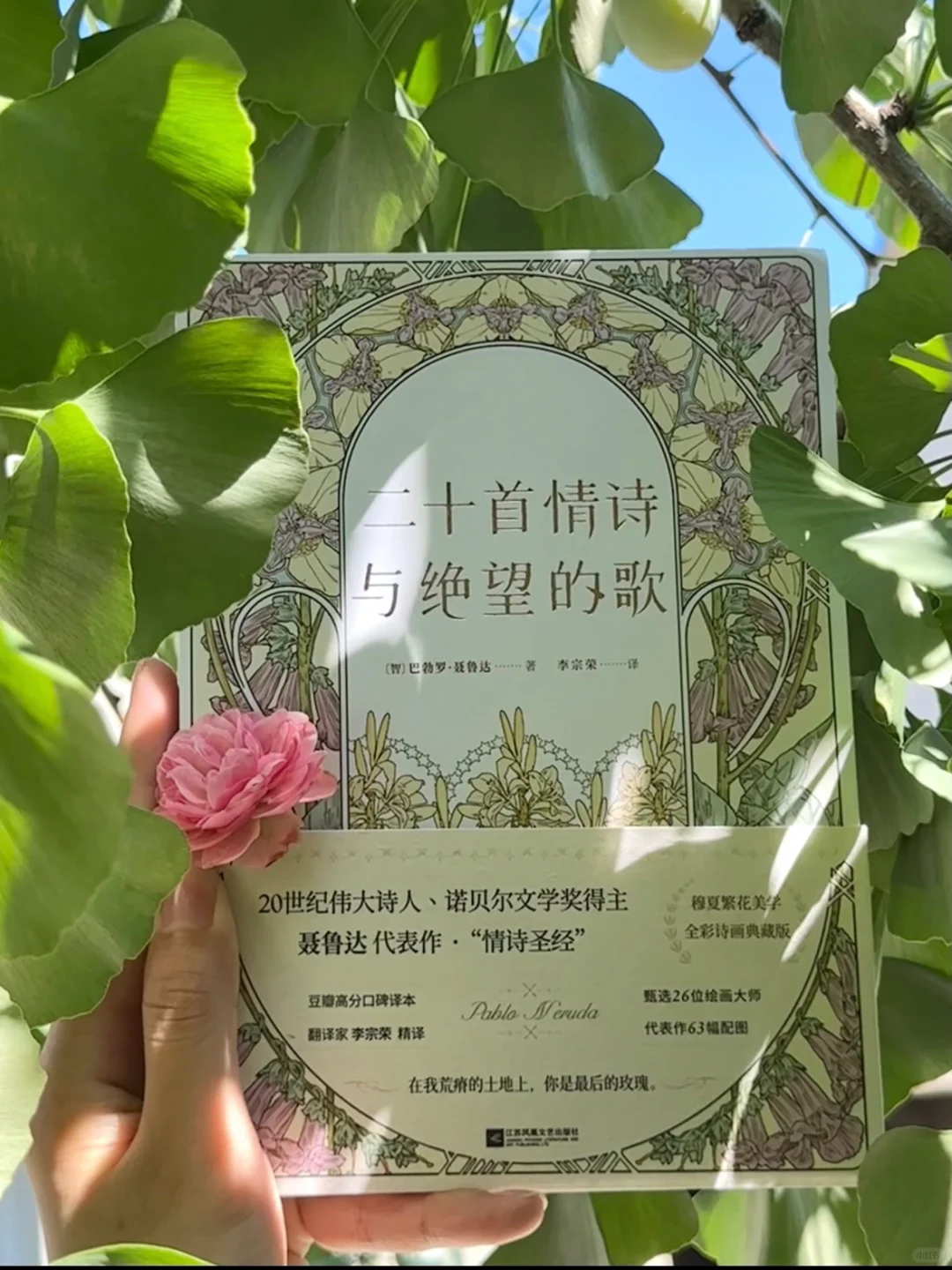 七月书单｜读完8本书