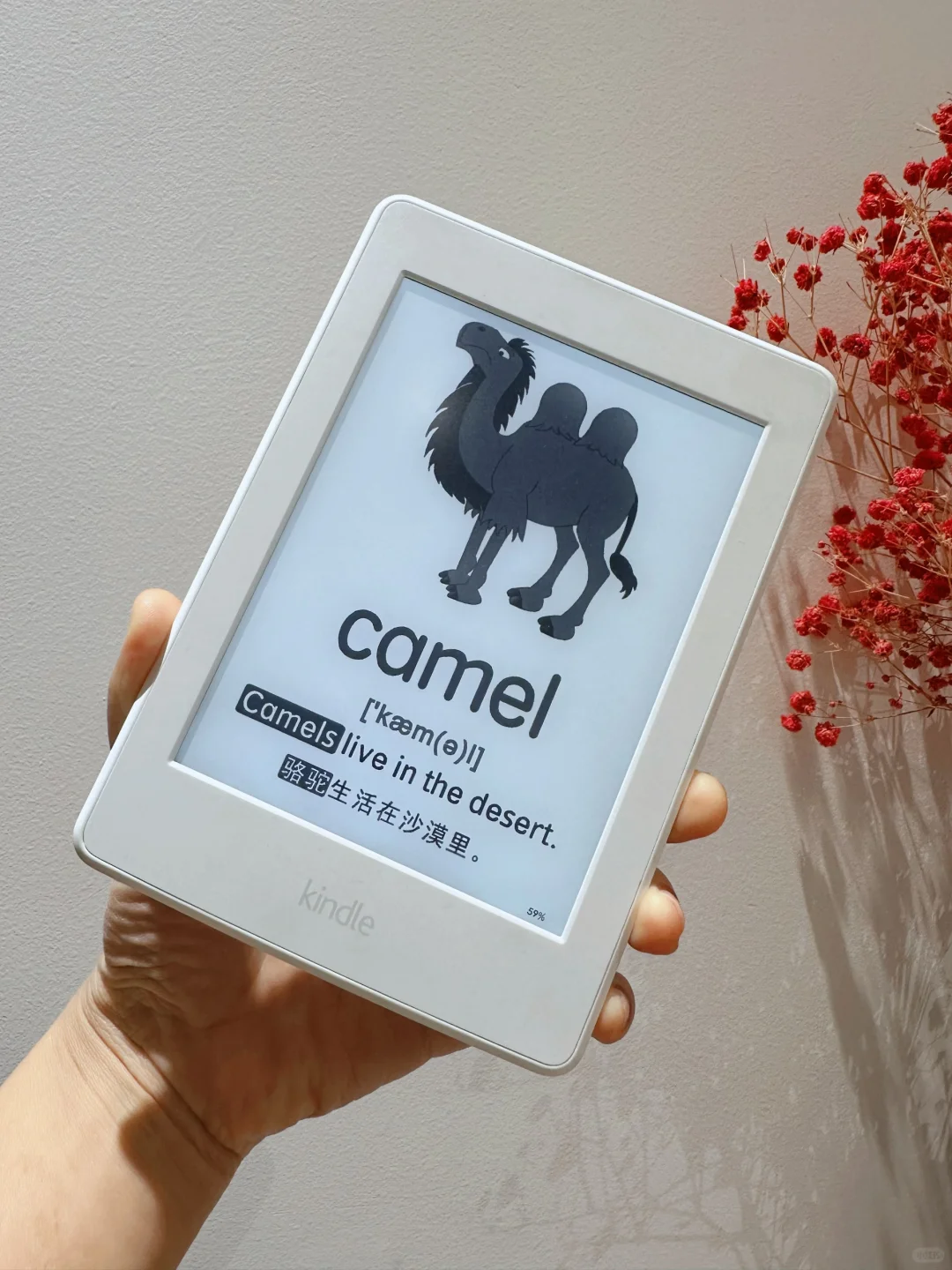 复活闲置Kindle，秒变早教神器 ‼️