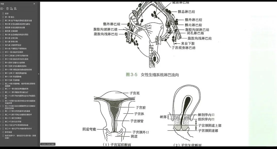 人卫版八年制5+3临床医学教材第4版pdf