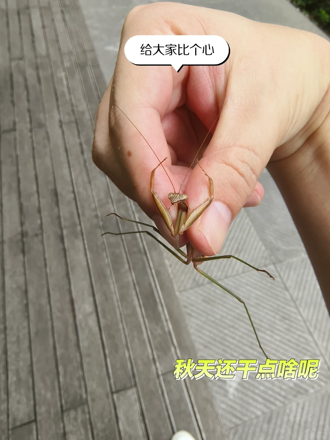 用了电纸书一年，反映出来的问题😂