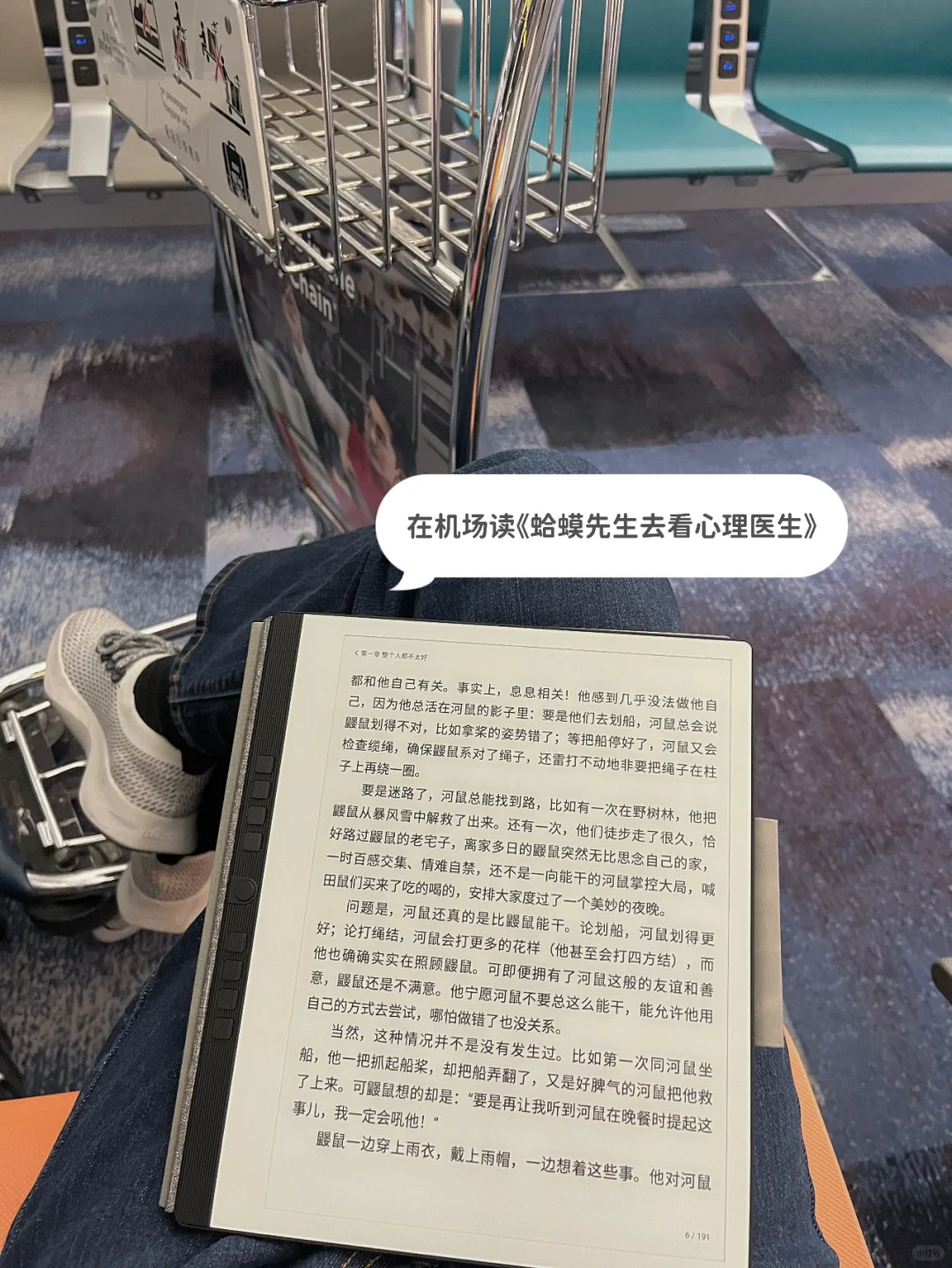 高颜值电子阅读器，海外党实现中文书自由！