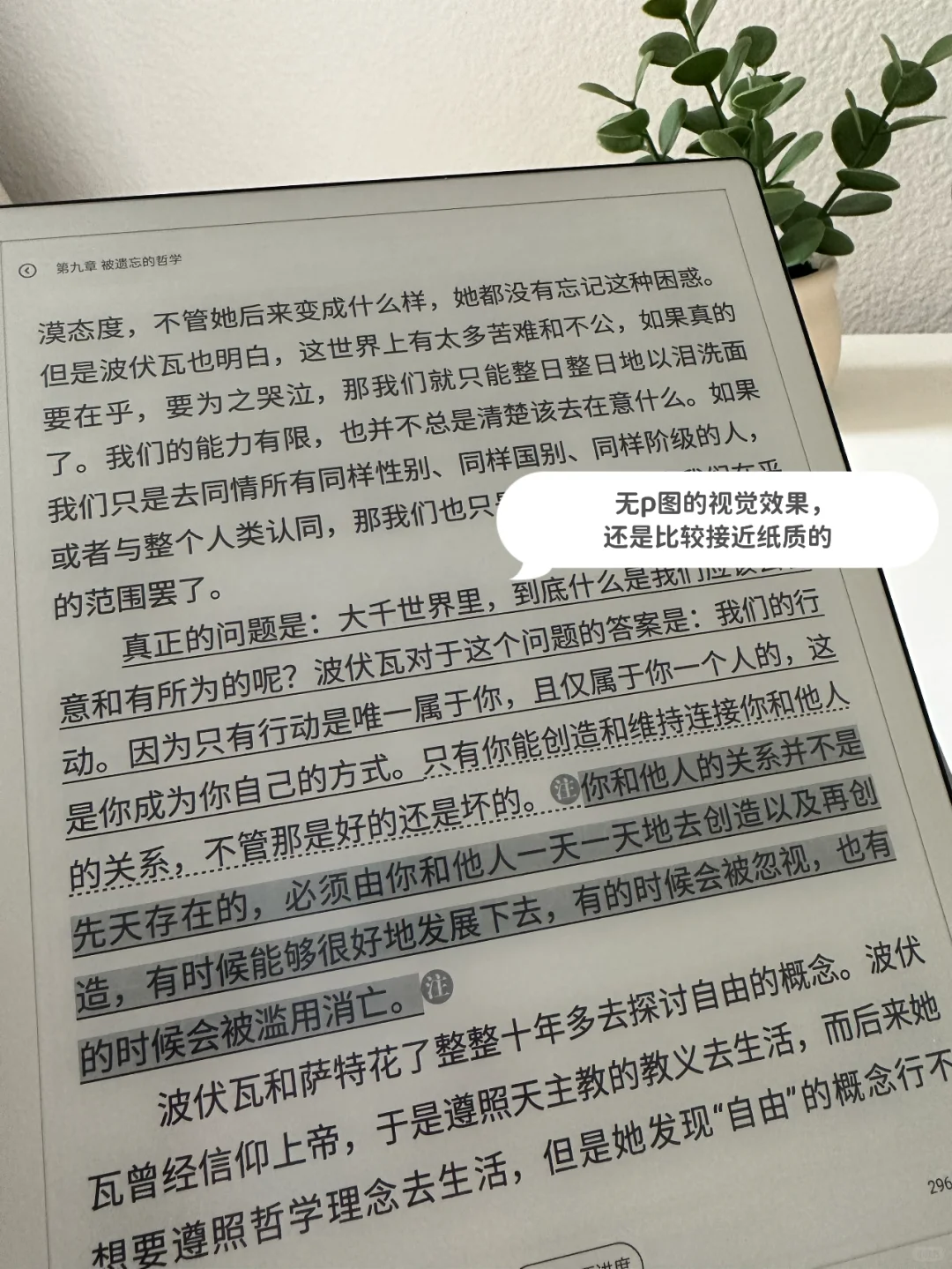 高颜值电子阅读器，海外党实现中文书自由！