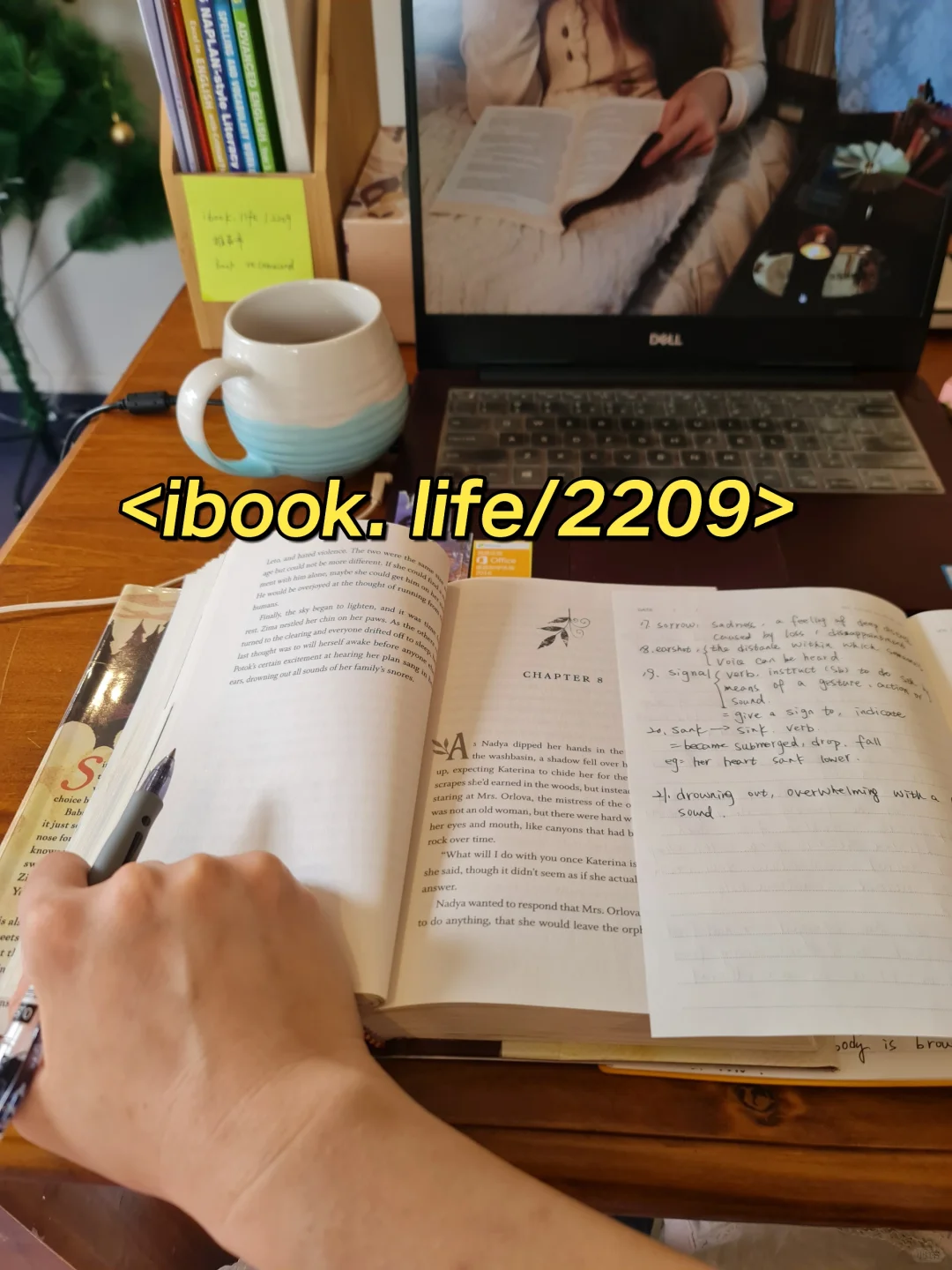 分享一个宝藏网站，实现电子书自由