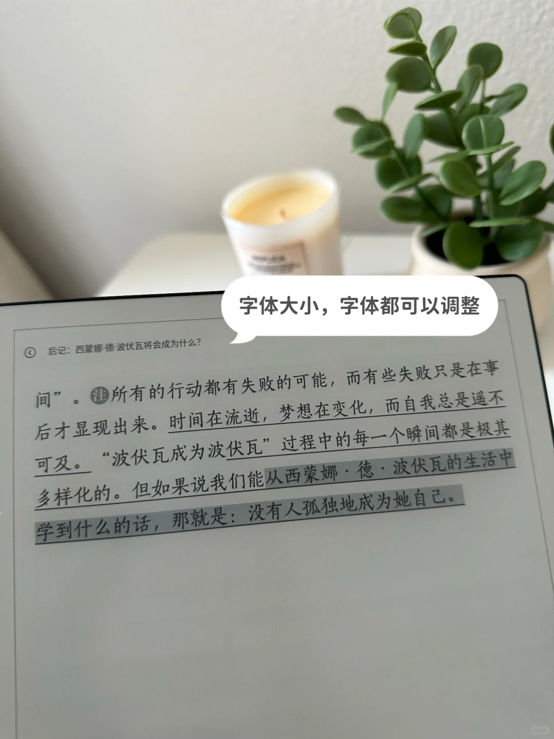 高颜值电子阅读器，海外党实现中文书自由！