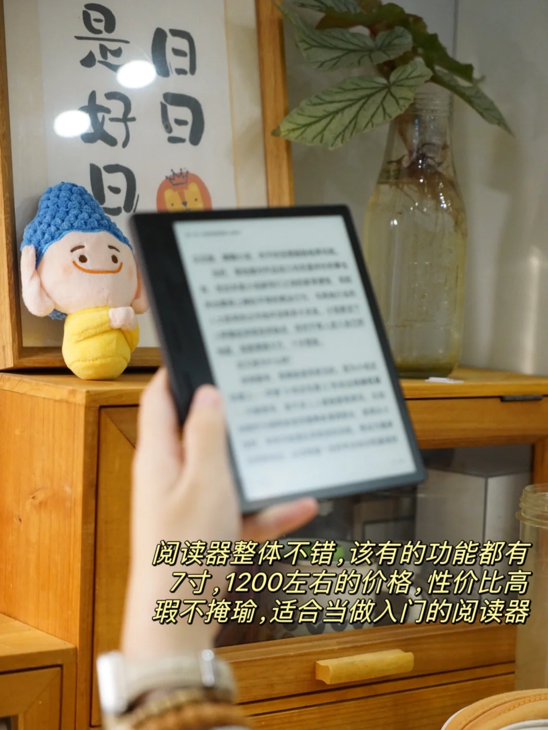 使用掌阅3个月，国产阅读器，适合做入门机阿