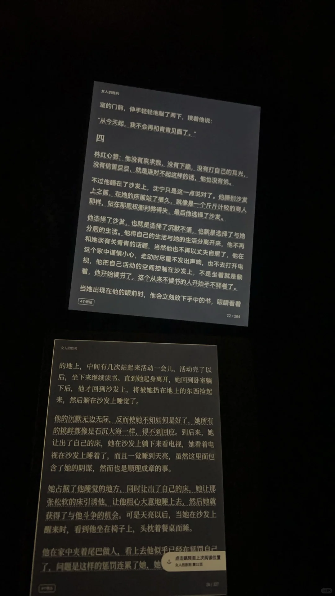 掌阅o4t北极白和o4p浅体验