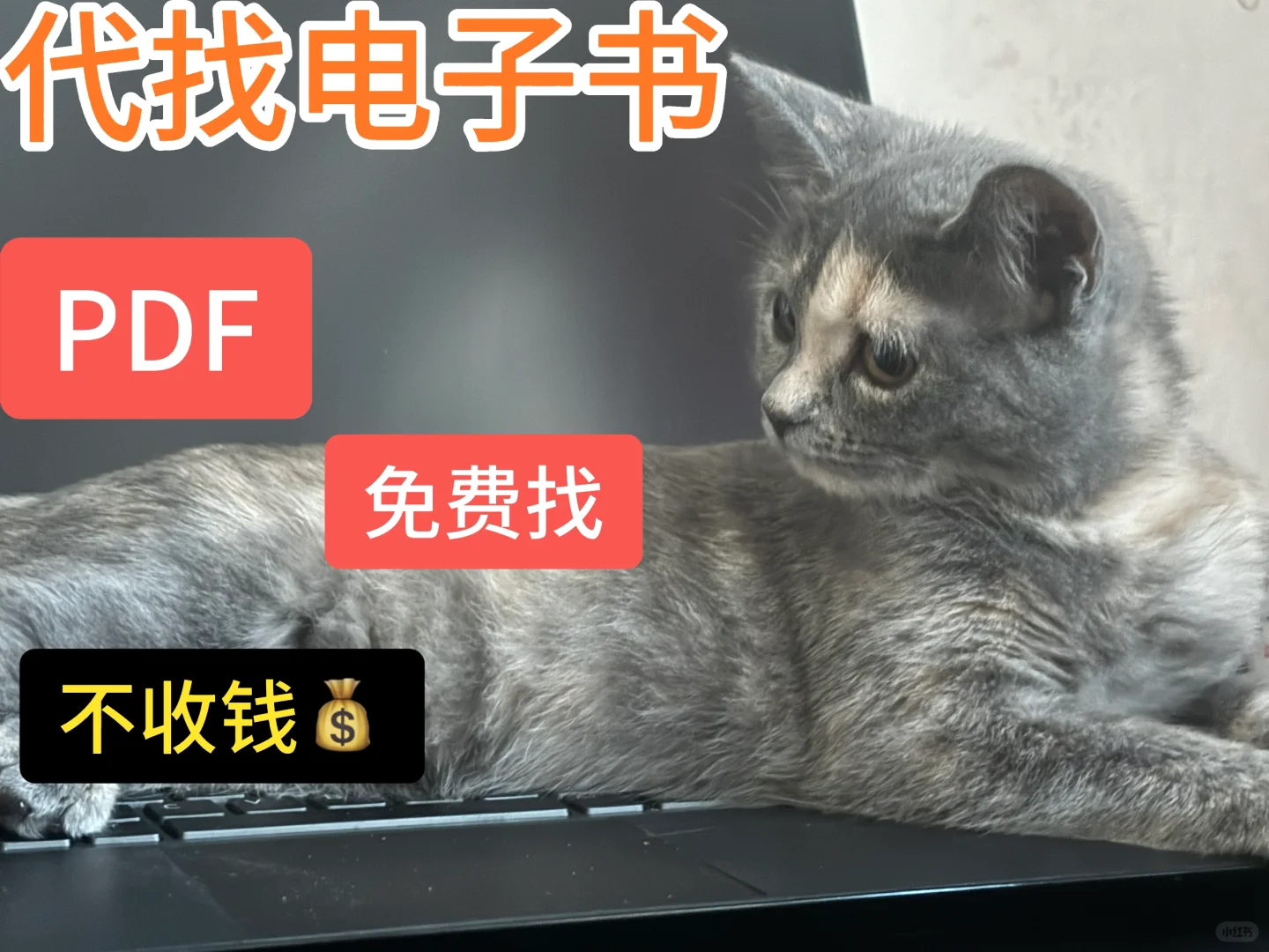 代找PDF电子书 中英文都可 免米