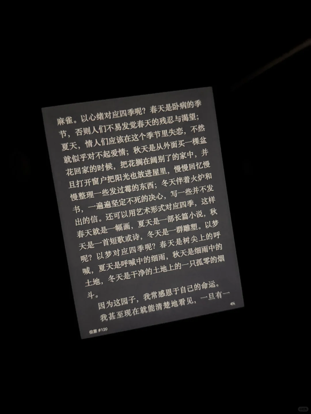 奖励自己的礼物 Kindle小绿