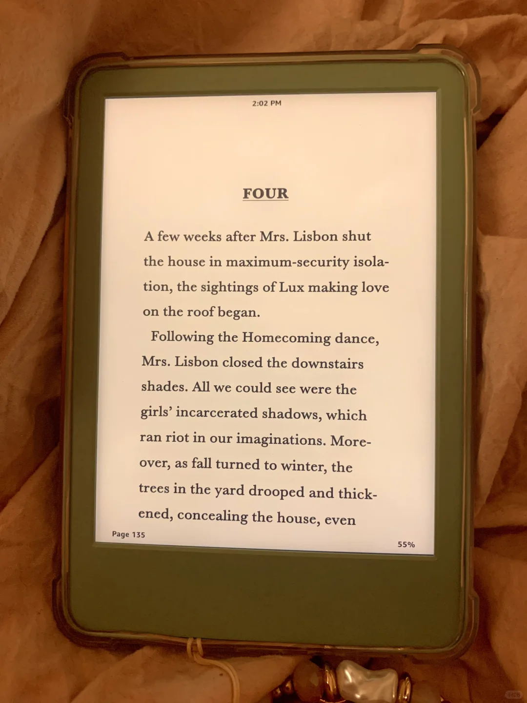 💐 Kindle 阅读 / kindle reading 🍁