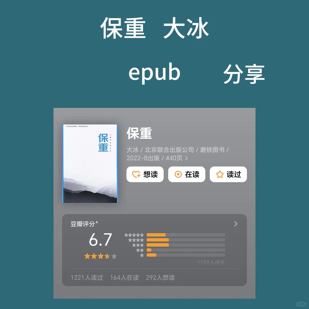 《保重》大冰epub分享