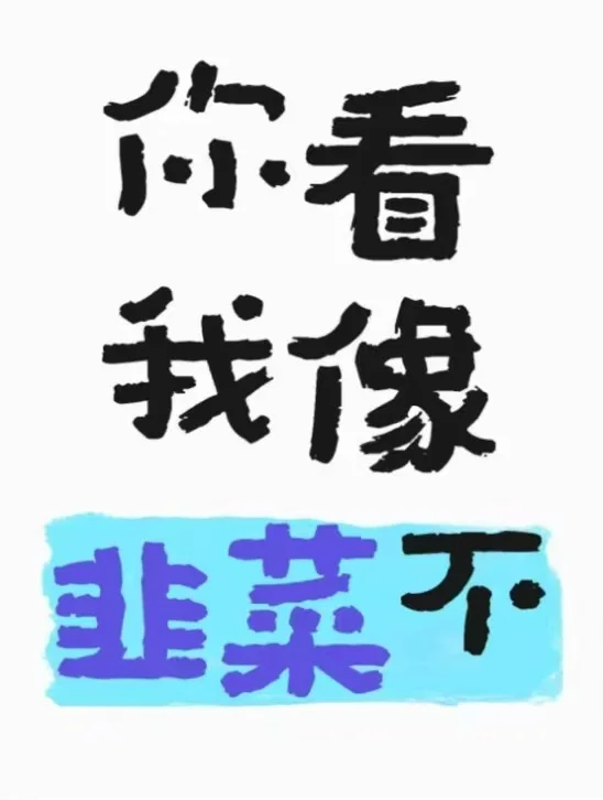 有人买掌阅o4c吗？