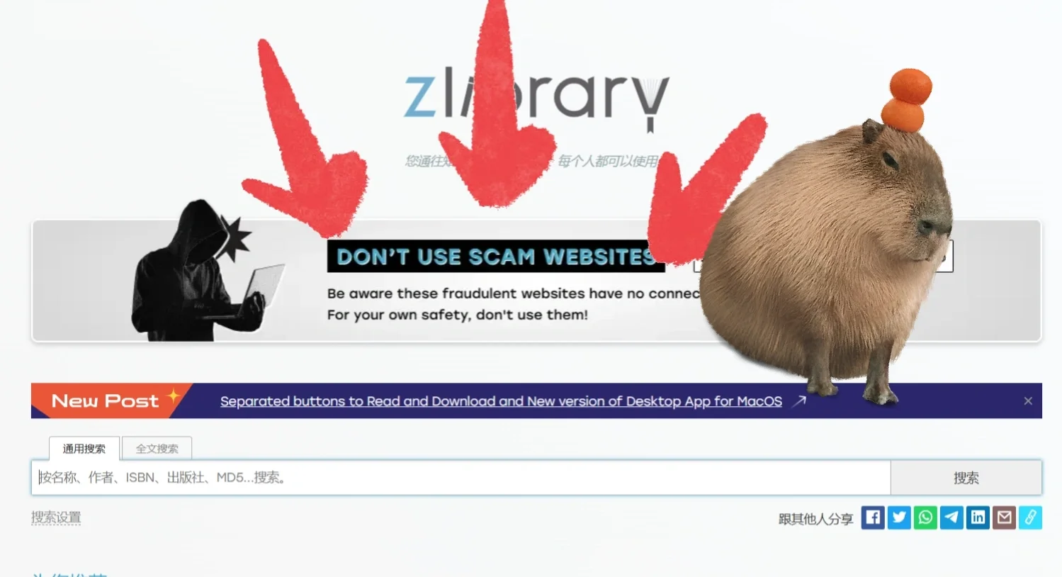 如何快速辨别zlib网址真假