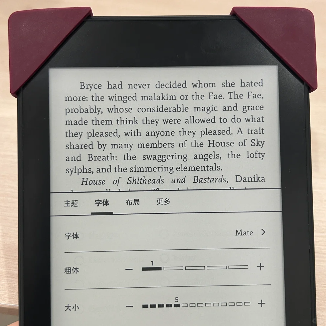 Kindle英文字体